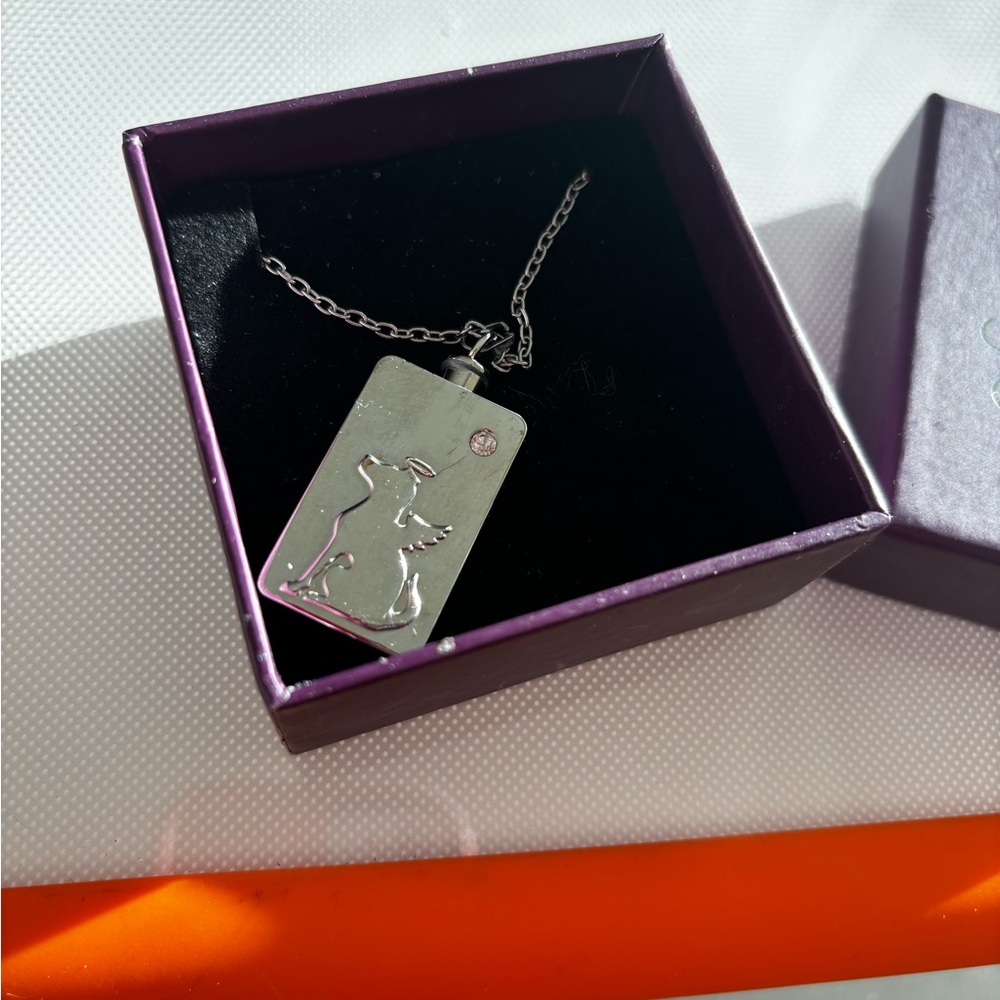 Serenity Heart Angel Dog Ashes Holder Bottle Pendant Necklace, New, Keepsake